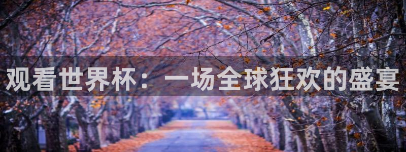 英足总杯直播:观看世界杯:一场全球狂欢的盛宴