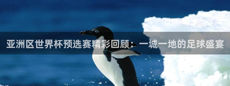 世界杯比赛直播:亚洲区世界杯预选赛精彩回顾:一城一地的足球盛宴
