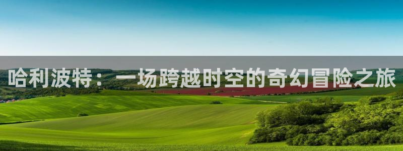2026世界杯倒计时:哈利波特:一场跨越时空的奇幻冒险之旅