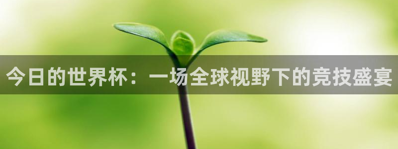 世界杯足球赛：今日的世界杯：一场全球视野下的竞技盛宴