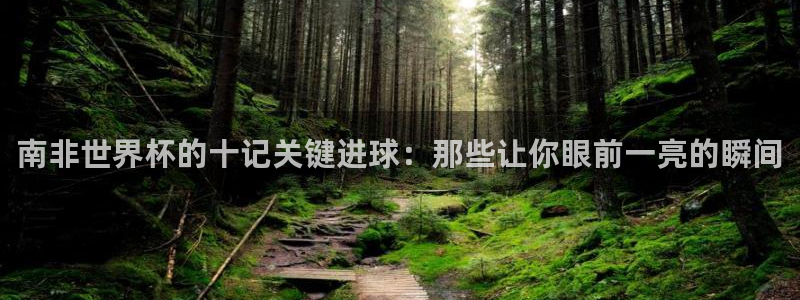 2026世预赛赛程：南非世界杯的十记关键进球：那些让你眼前一亮的瞬间