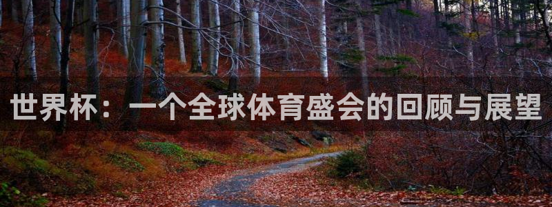 世界杯视频：世界杯：一个全球体育盛会的回顾与展望