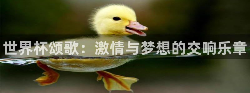 世界杯 中国：世界杯颂歌：激情与梦想的交响乐章