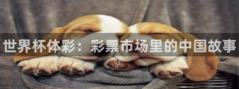 葡萄牙世界杯赛程：世界杯体彩：彩票市场里的中国故事