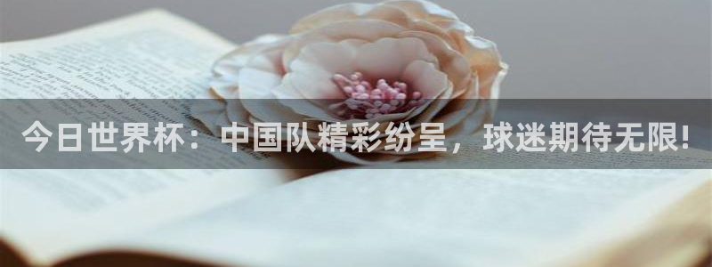 世界直播：今日世界杯：中国队精彩纷呈，球迷期待无限!