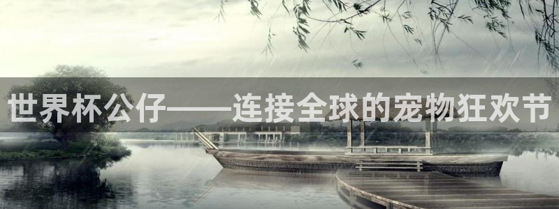 亚洲杯比赛直播：世界杯公仔——连接全球的宠物狂欢节