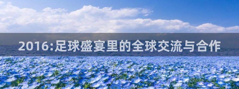 2026世界杯亚洲区预选赛赛程：2016:足球盛宴里的全球交流与合作