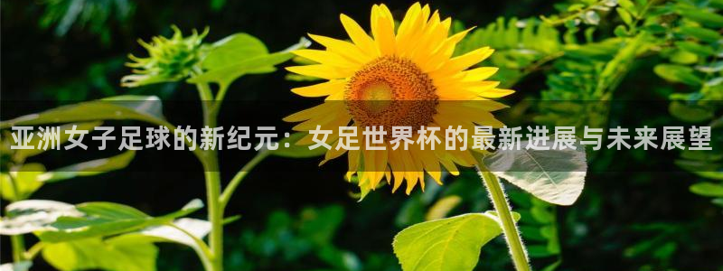 世界杯足球比赛：亚洲女子足球的新纪元：女足世界杯的最新进展与未来展望