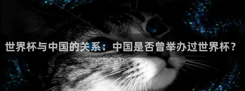 2026葡萄牙杯赛程表：世界杯与中国的关系：中国是否曾举办过世界杯？