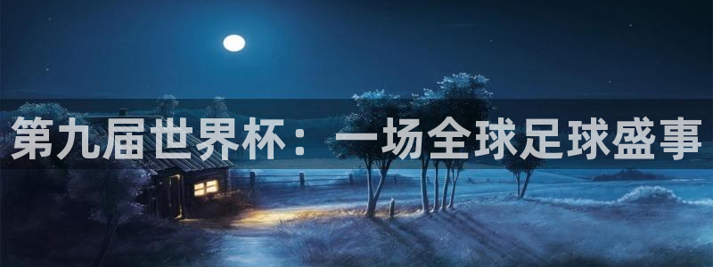 2026世界杯官网入口：第九届世界杯：一场全球足球盛事