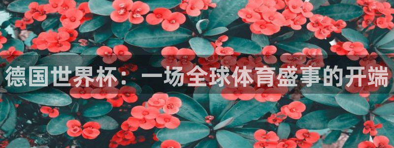 世界杯足球比赛：德国世界杯：一场全球体育盛事的开端