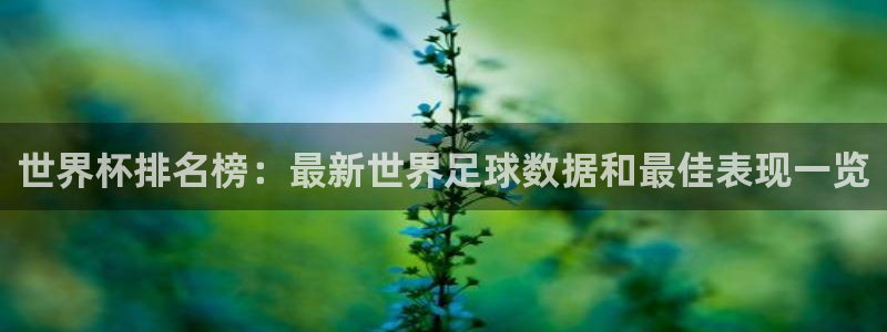 世界杯比赛时间：世界杯排名榜：最新世界足球数据和最佳表现一览